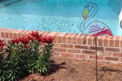 pool11698678